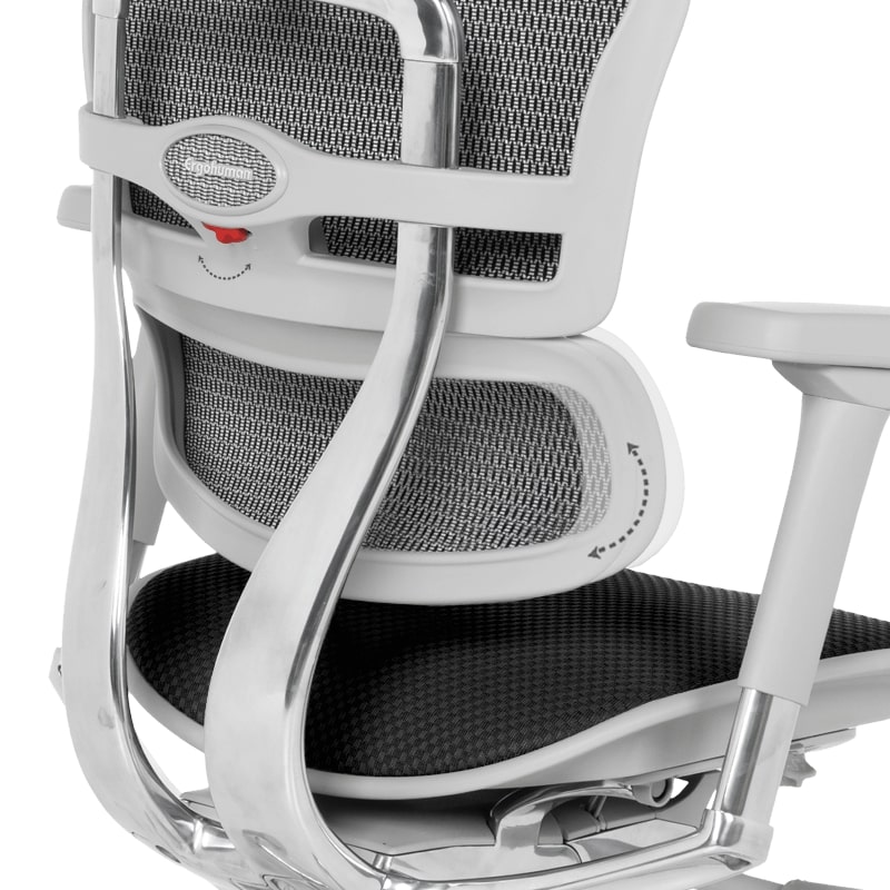 Ергономичен офис стол Ergohuman Elite 2 дамаска черен-сива рамка